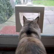 Glass door cat flap installation